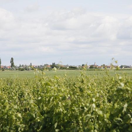 Pension & Weingut Storchenblick Illmic Kültér fotó
